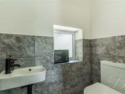 Picture 31